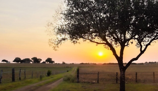 MoonShiner Farm - Shiner TX
