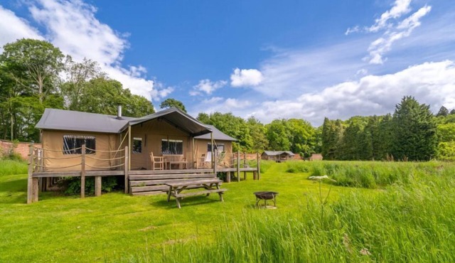 Moorhen at Exton Park, Rutland - Dog friendly