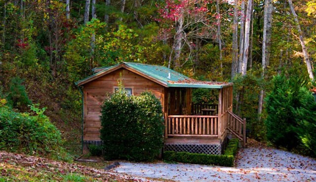 Moose Cabin - 2 Bedroom/1 Bath Vacation Rental
