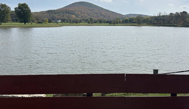 Moose cabin at mystic water resort