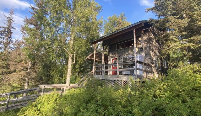Moose Cabin