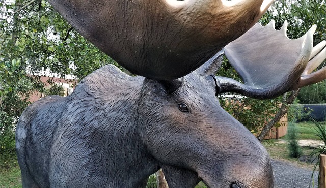 ★Moose Haven Cabin★ Garden & Hiking Trail ★