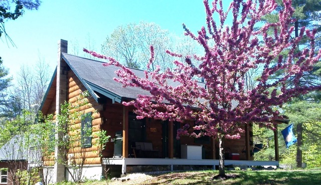 MOOSE LODGE Beautiful log cabin near Ossipee Lake