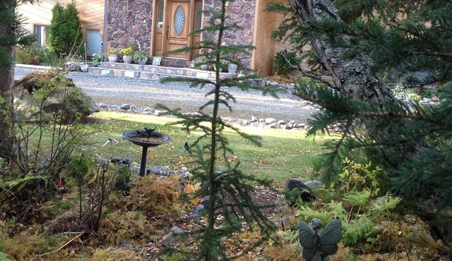 MOOSE MEADOW SUITE. Serenity on a large private wooded lot. Abundant wildlife