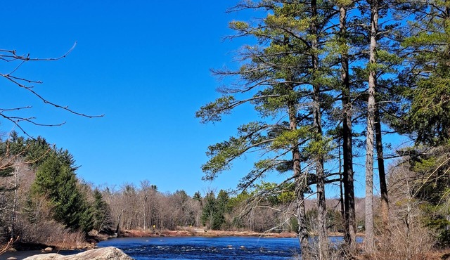 Moose River ADK Get-Away