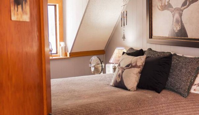 Moose Room Rustic Colorado Lodge Escape