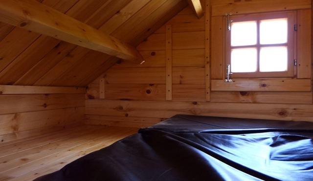 Moose Run, a PRIVATE Pine Cabin in the Woods near Algonquin Park, Ontario.
