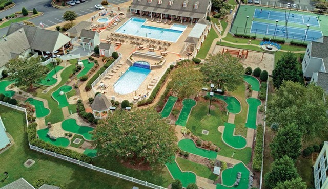 More to do than you will have time for !