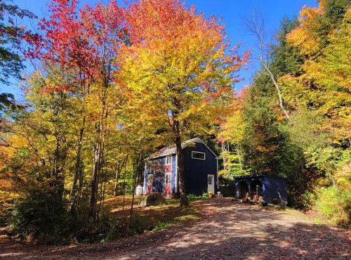 Morel Mountain Hideaway