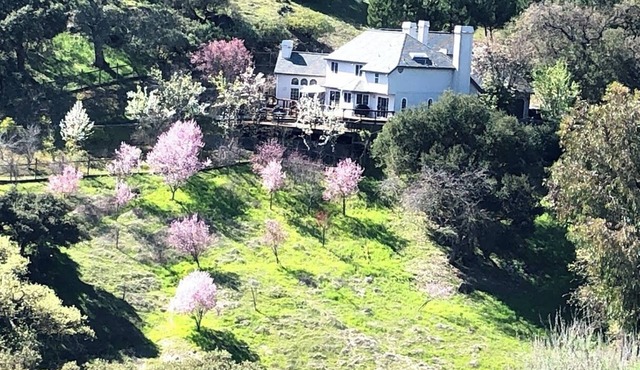 Morgan Hill Private Estate