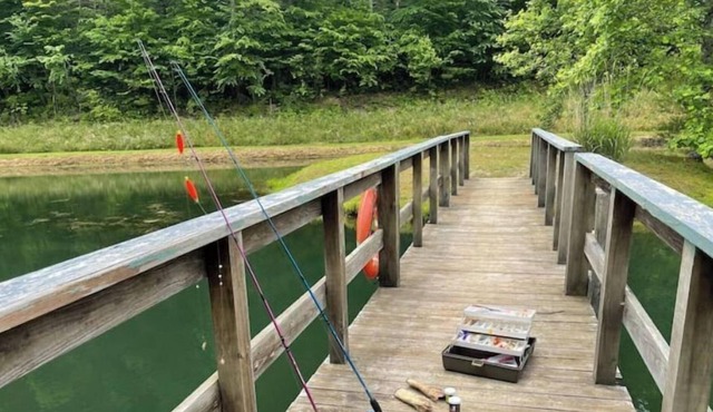 Morgan's Creek