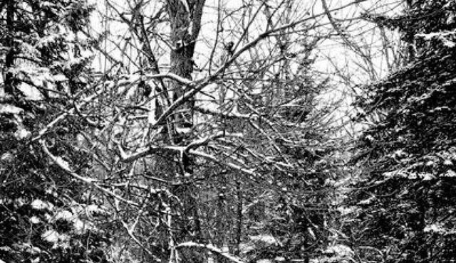Morin Heights Beautiful LAKEFRONT Ski Chalet - Available now