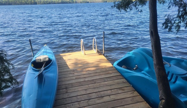 Morning Glory on the Lake: Escape to Serenity