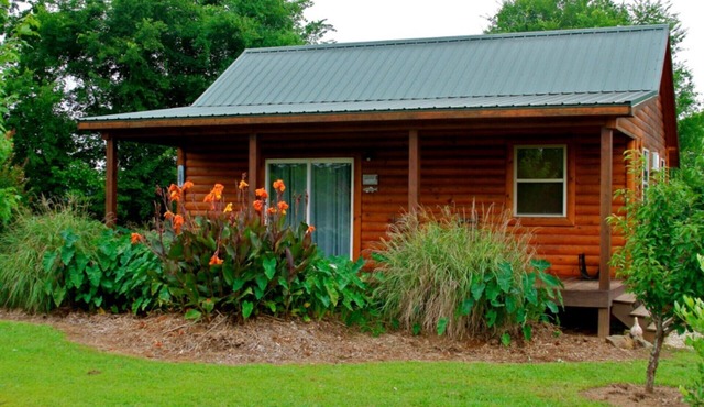 Morningstar Cabin Caddo River. GREAT VALUE! River access!
