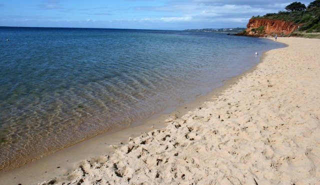 MORNINGTON BEACH APARTMENT #5 : directly opposite the beach with great views.