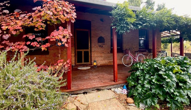 Moss Hollow Cottage Farmstay