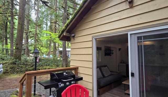 Moss Top Cabin: cozy off-grid retreat