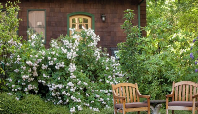 Mossy Cobbles: Romantic Cottage in a Wooded Setting