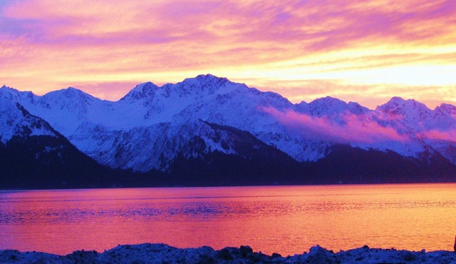 Most Charming B&B, Eco-Friendly Guest House and Wildlife Retreat in Alaska