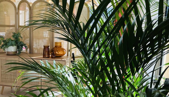 Motel Les Broussailles