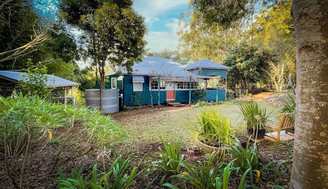 Mother of Ducks wonderful weekends at Cloudlake