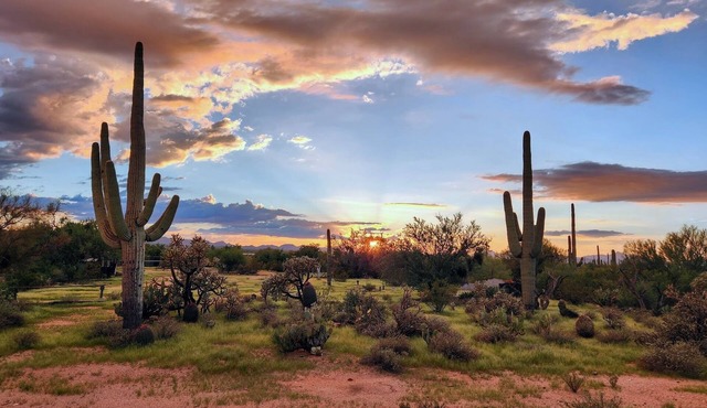 Mother's Day Desert Oasis Home 3BR 2BA W Tucson Views in Every Window Stargazing