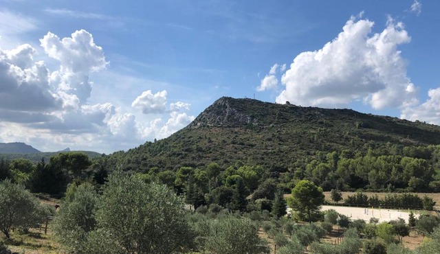 Mougere des oliviers