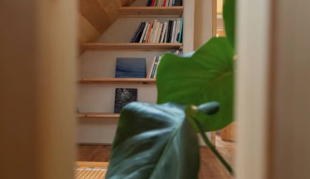 Moulin Chaleureux en Bord de mer