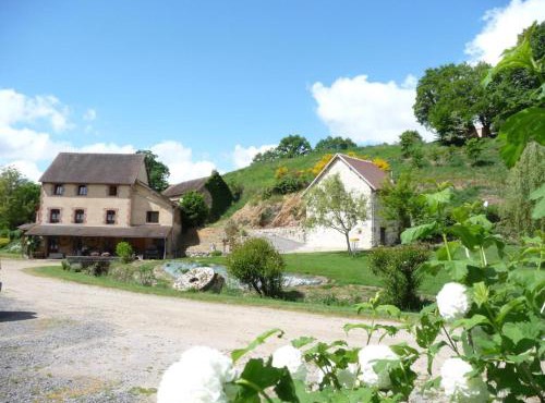 Moulin rénové avec piscine partagée et animaux acceptés - FR-1-489-255