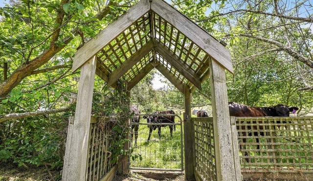 Mount Bolton Retreat