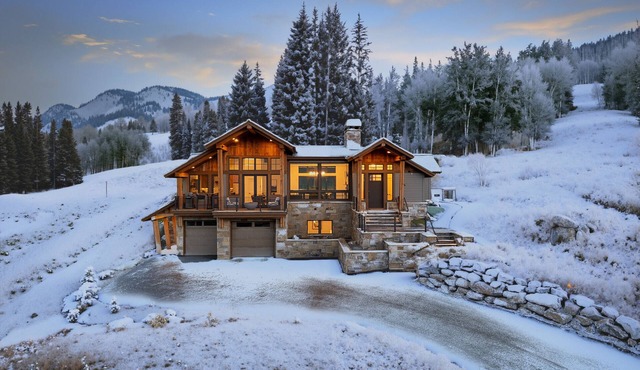 Mount Crested Butte/Ski-In/Out, Hot Tub & Fire Pit