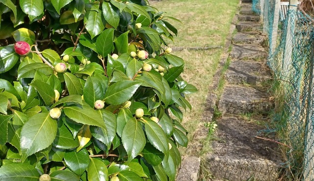 Mount Pleasant Retreat