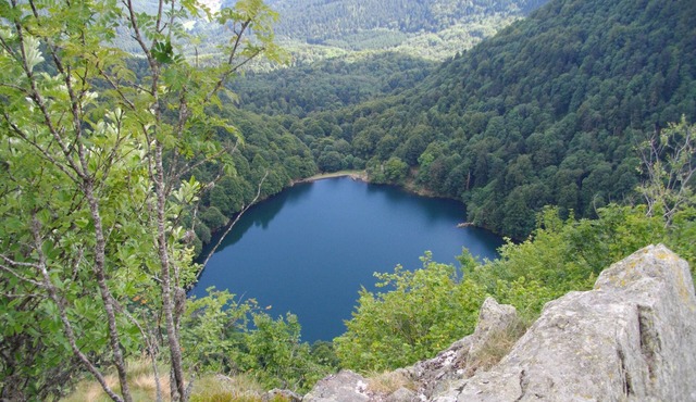 MOUNTAIN, PURE AIR HIKES insured