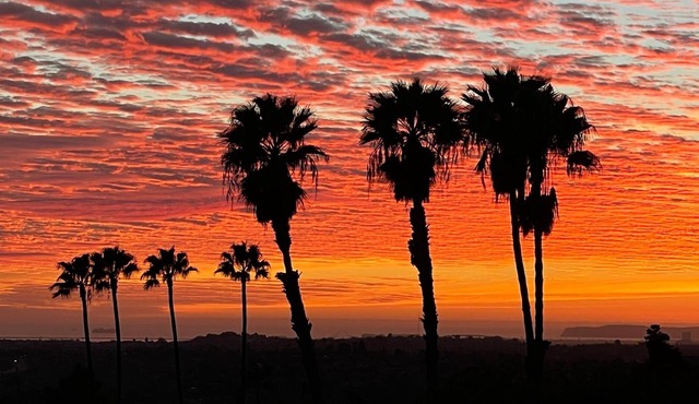 Mountain and Ocean View 4 BR/3.5 BA San Diego Estate