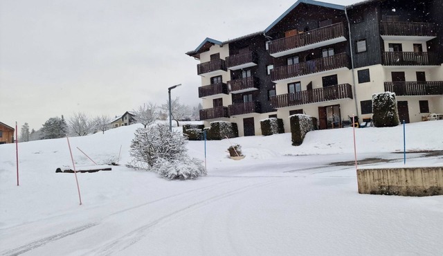 Mountain apartment in very quiet residence
