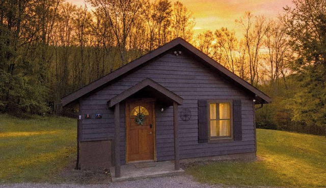 Mountain Cabin- Fallingwater/Ohiopyle/State Parks
