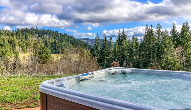 Mountain cabin on 5 acres with private hot tub & Mt. Hood views