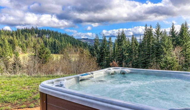 Mountain cabin on 5 acres with private hot tub & Mt Hood views