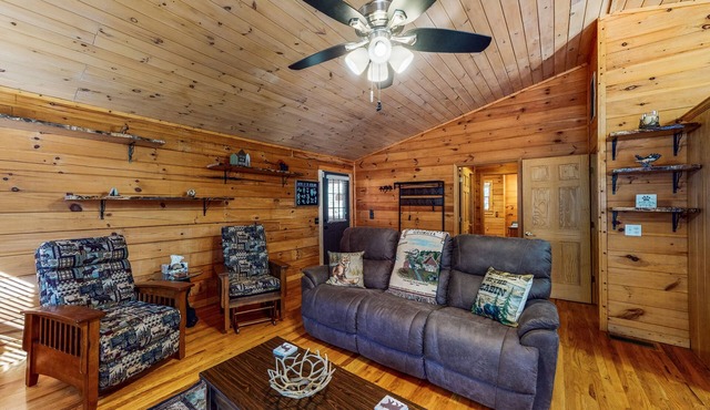 mountain cabin with deck, sunroom, grill, fireplace, arcade, & wifi - dogs ok