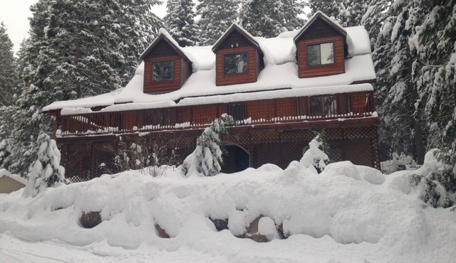 Mountain Chalet On 6 Acres On Mt. Shasta