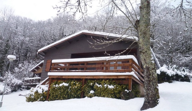 MOUNTAIN CHALET (PROMIXITE DE GOURETTE)