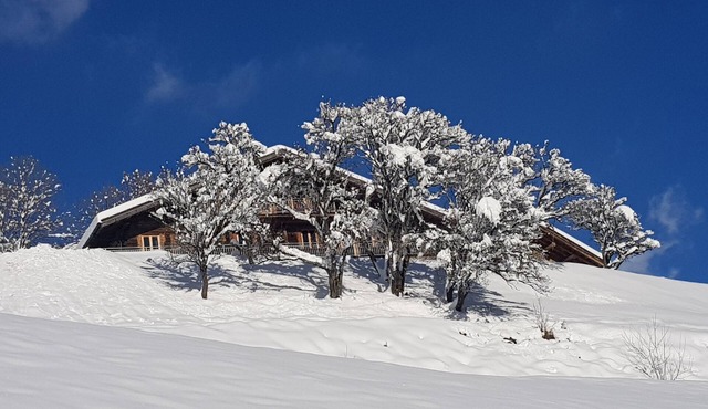 Mountain chalet with sauna spa and authenticity