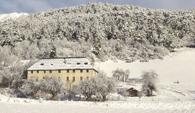 Mountain Charming apartment