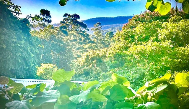 Mountain Cottage Room With Nature Views