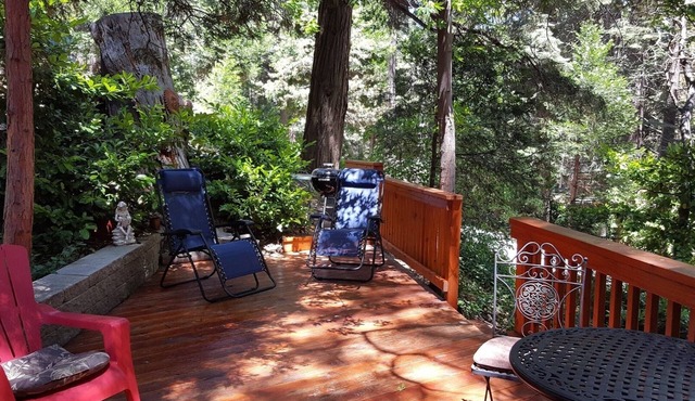 Mountain Cottage Serenity Surrounded by Majestic Forests 5 min to Lake Arrowhead
