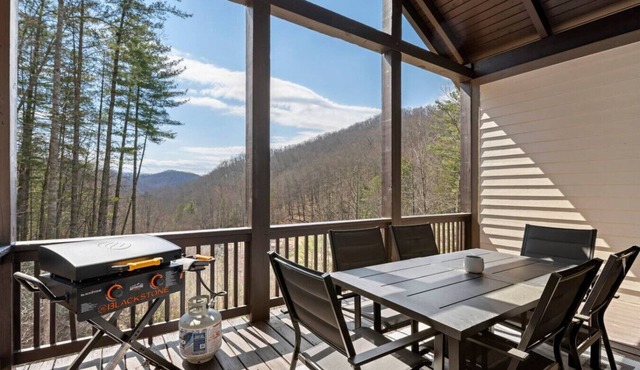 Mountain Escape, Balcony, Grill, and View!