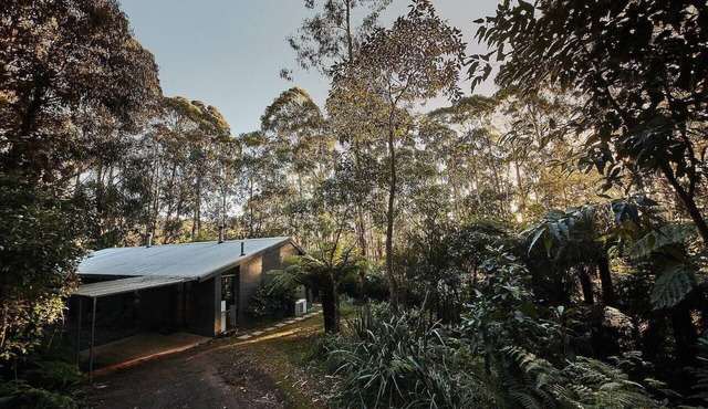 Mountain get-away, nestled in the majestic Mount Toolebewong forest