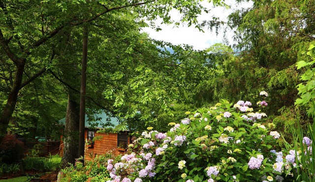 Mountain Getaway For Couples! 17 miles to Asheville, Pet Friendly, Hot Tub