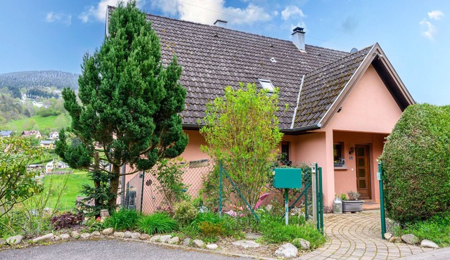 Mountain Gîte – Vosges Alsaciennes with Mountain View, Shared Terrace and Wi-Fi