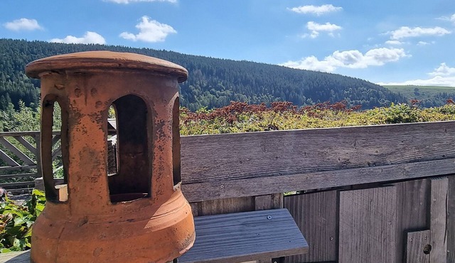Mountain guest rooms, pets allowed